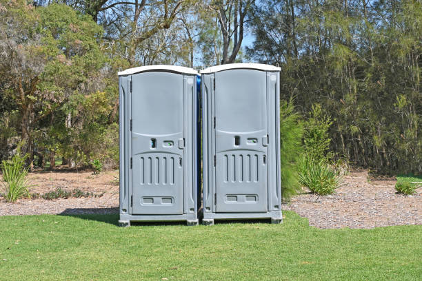 Best Pest Control for Lawns  in Tyrone, GA