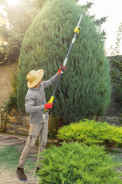 Best Tree Preservation Services  in Tyrone, GA